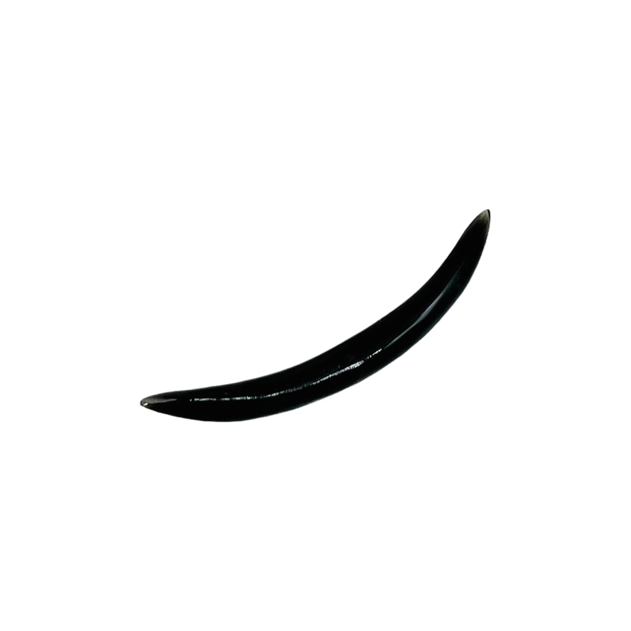Natural Black Onyx Gemstone Handmade Naga Body Piercing Tribal Septum, Curved Spike Tusk Gauges, 2mm (12g) to 12mm (1/2 inch)