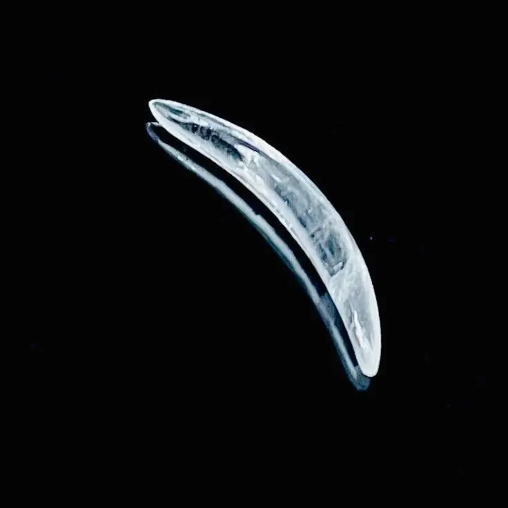 Tribal Curved Septum Tusk Spike – Clear Quartz Body Jewelry