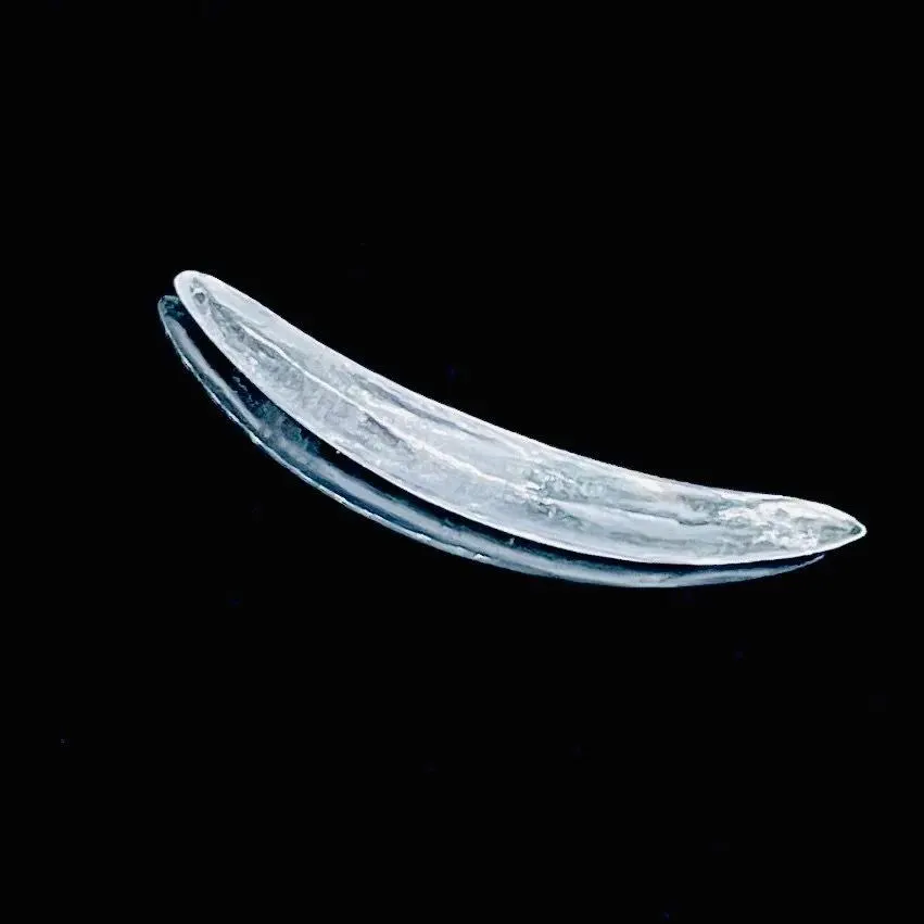Tribal Curved Septum Tusk Spike – Clear Quartz Body Jewelry